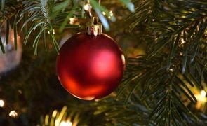 bolinha em pinheiro de natal bolinha em pinheiro de natal