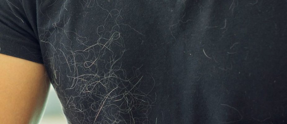 Como tirar pelos da roupa: Maneiras simples de deixar suas peças limpas novamente Como tirar pelos da roupa: Maneiras simples de deixar suas peças limpas novamente